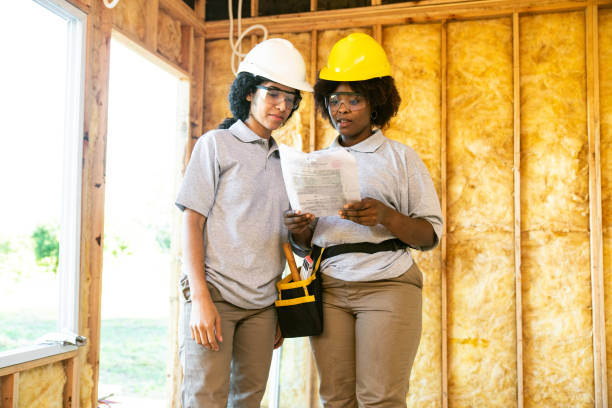 Best Insulation Replacement Services  in Roman Forest, TX