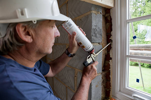 Best Professional Insulation Contractor  in Roman Forest, TX
